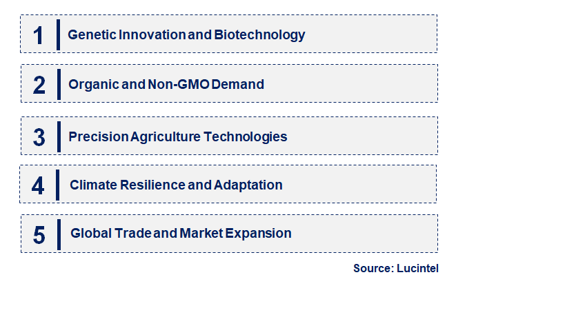 Emerging Trends in the Romaine Seeds Market